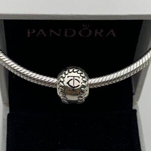 ✨🔥Pandora Minnesota Twins Pandora Baseball Charm